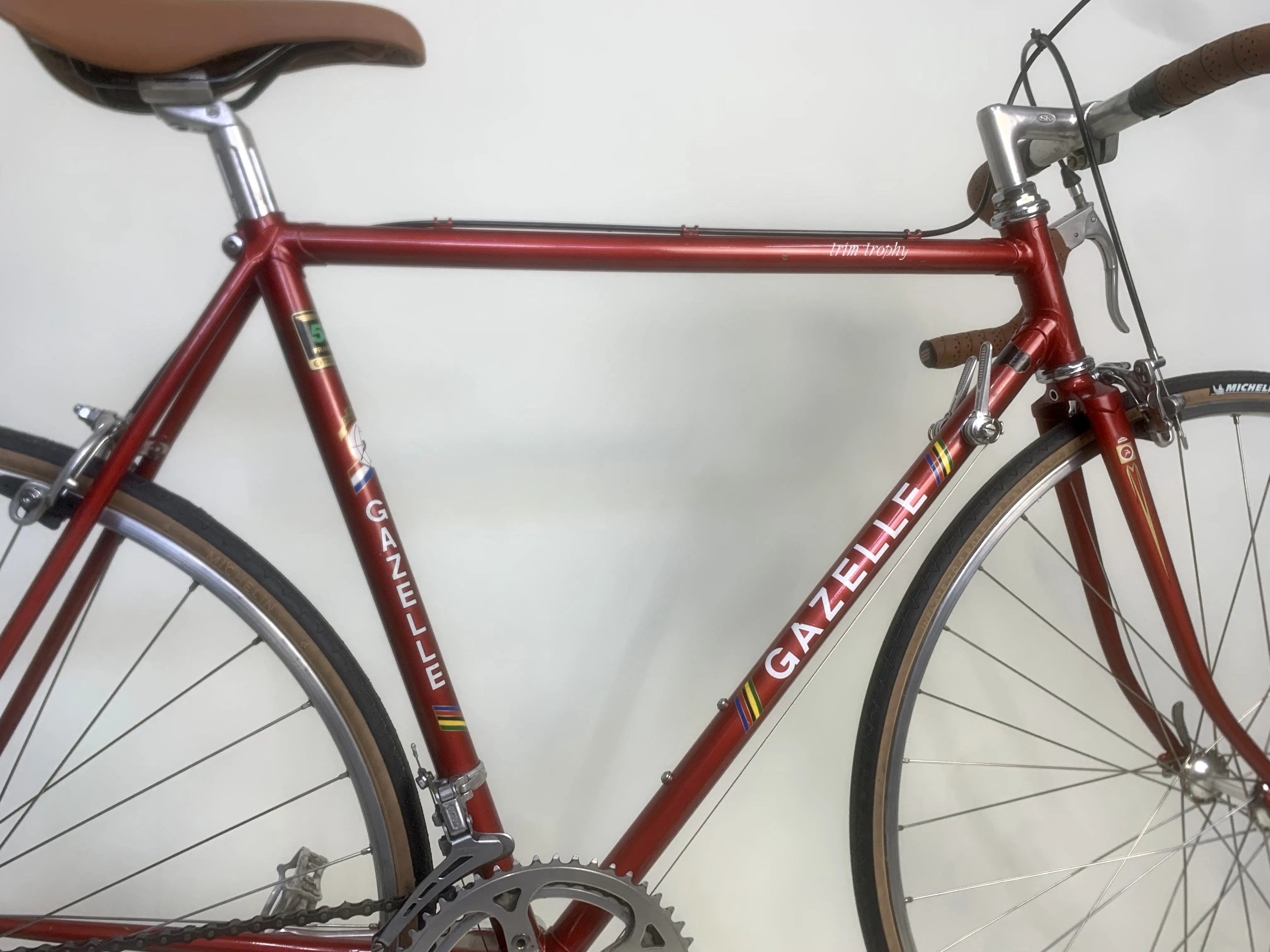 1977 Gazelle Trim Trophy 54cm