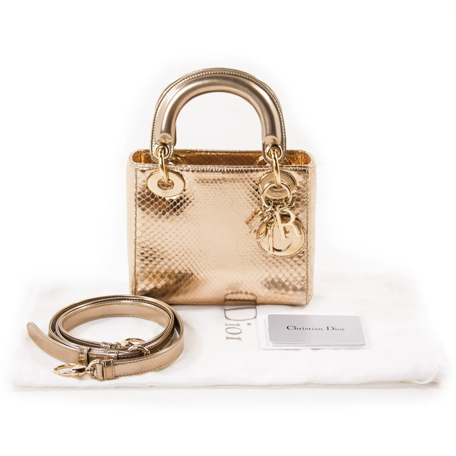 Christian Dior Mini Lady Dior Python