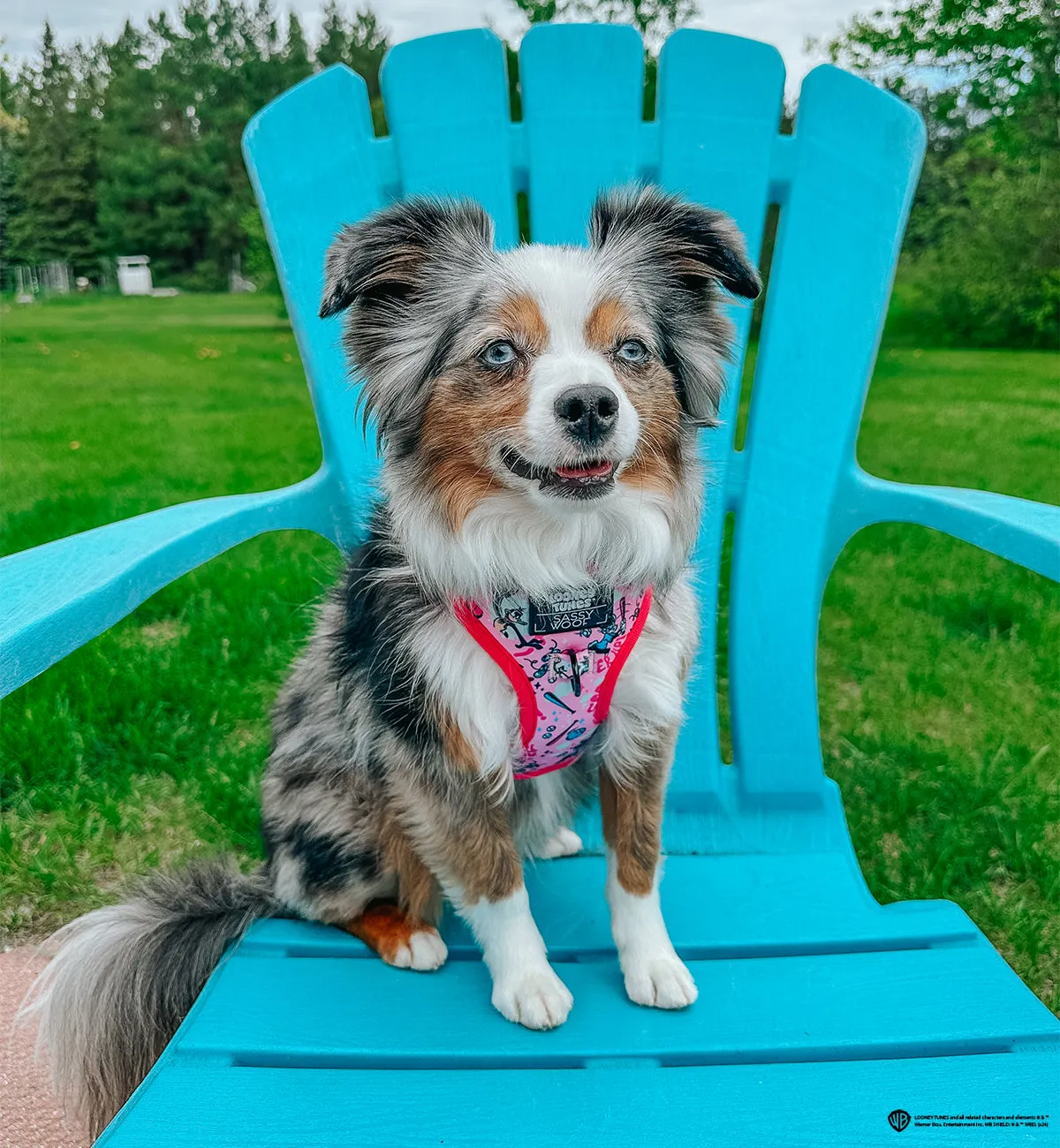 Dog Adjustable Harness - Looney Tunes™ Pink