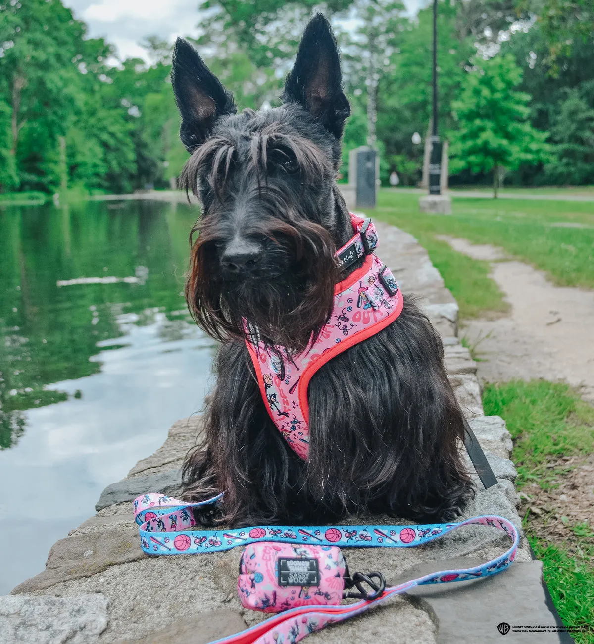 Dog Adjustable Harness - Looney Tunes™ Pink