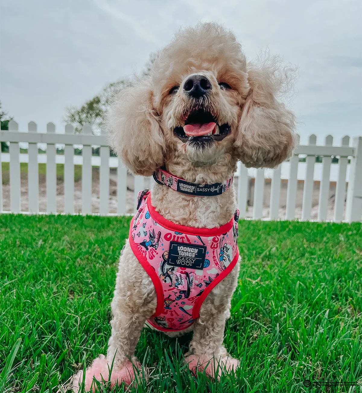 Dog Adjustable Harness - Looney Tunes™ Pink