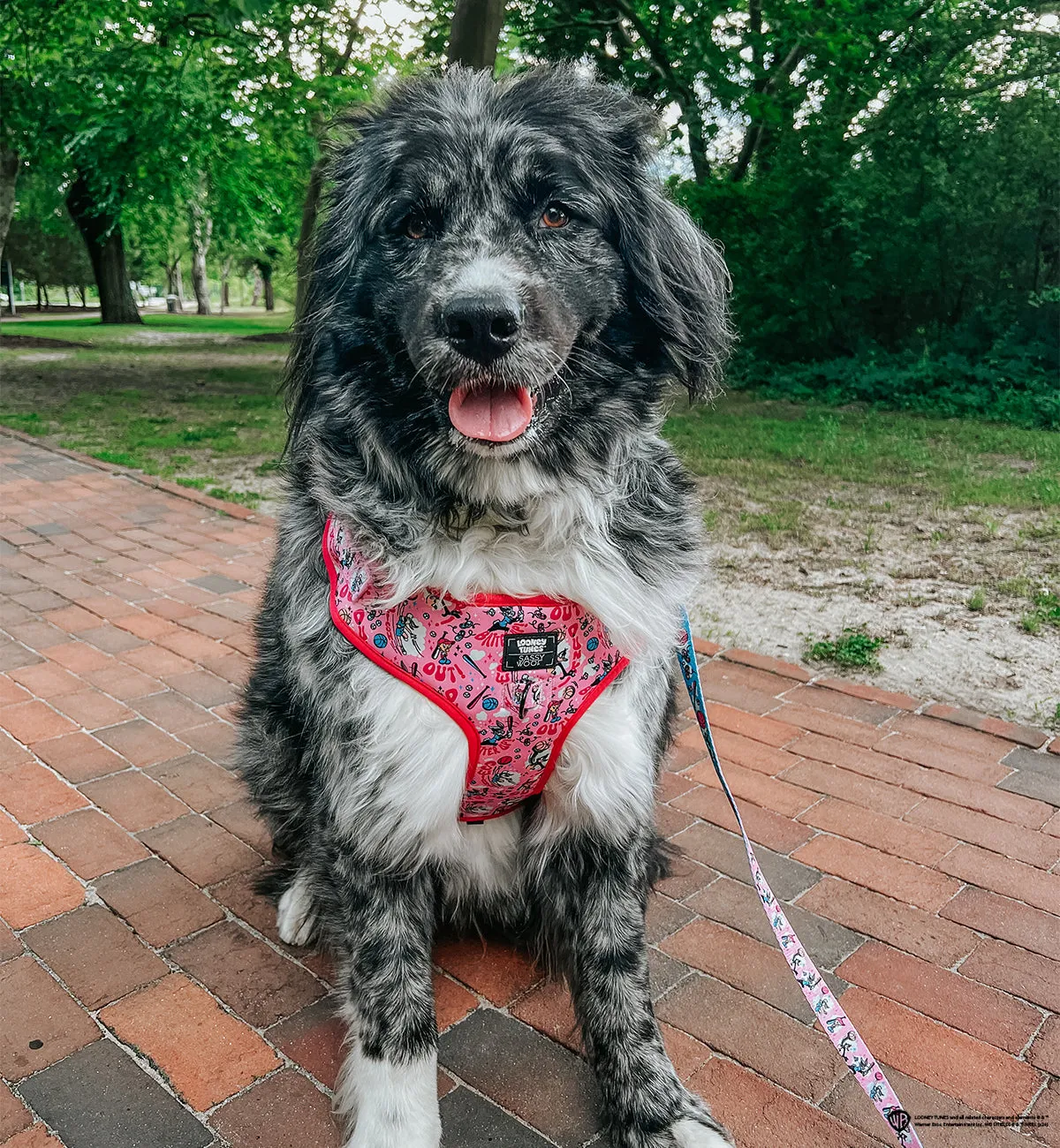 Dog Adjustable Harness - Looney Tunes™ Pink