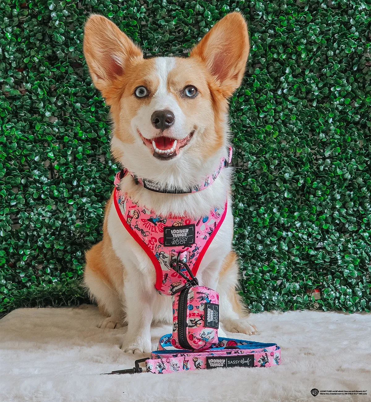 Dog Adjustable Harness - Looney Tunes™ Pink