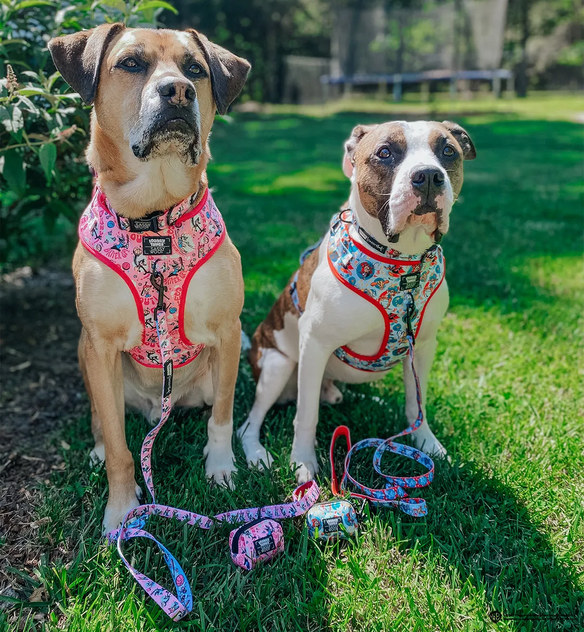 Dog Adjustable Harness - Looney Tunes™ Pink