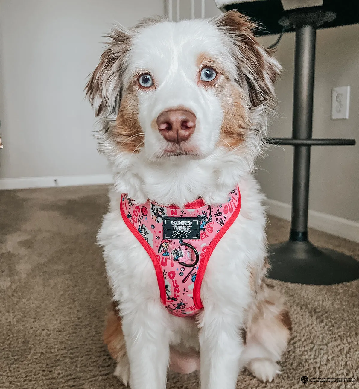 Dog Adjustable Harness - Looney Tunes™ Pink