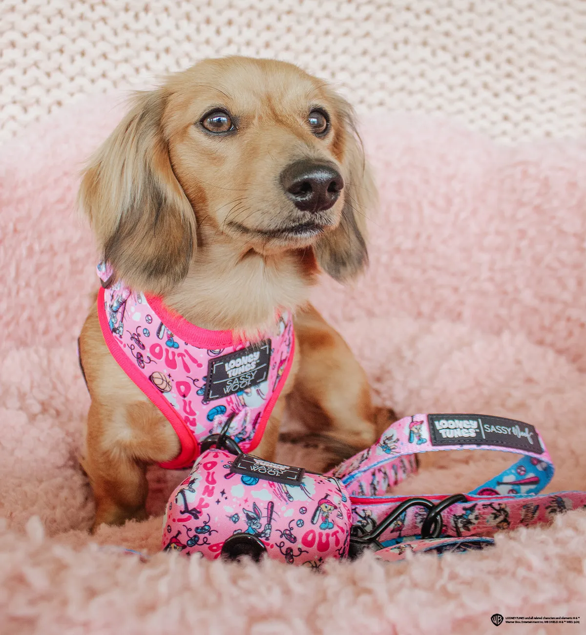 Dog Adjustable Harness - Looney Tunes™ Pink