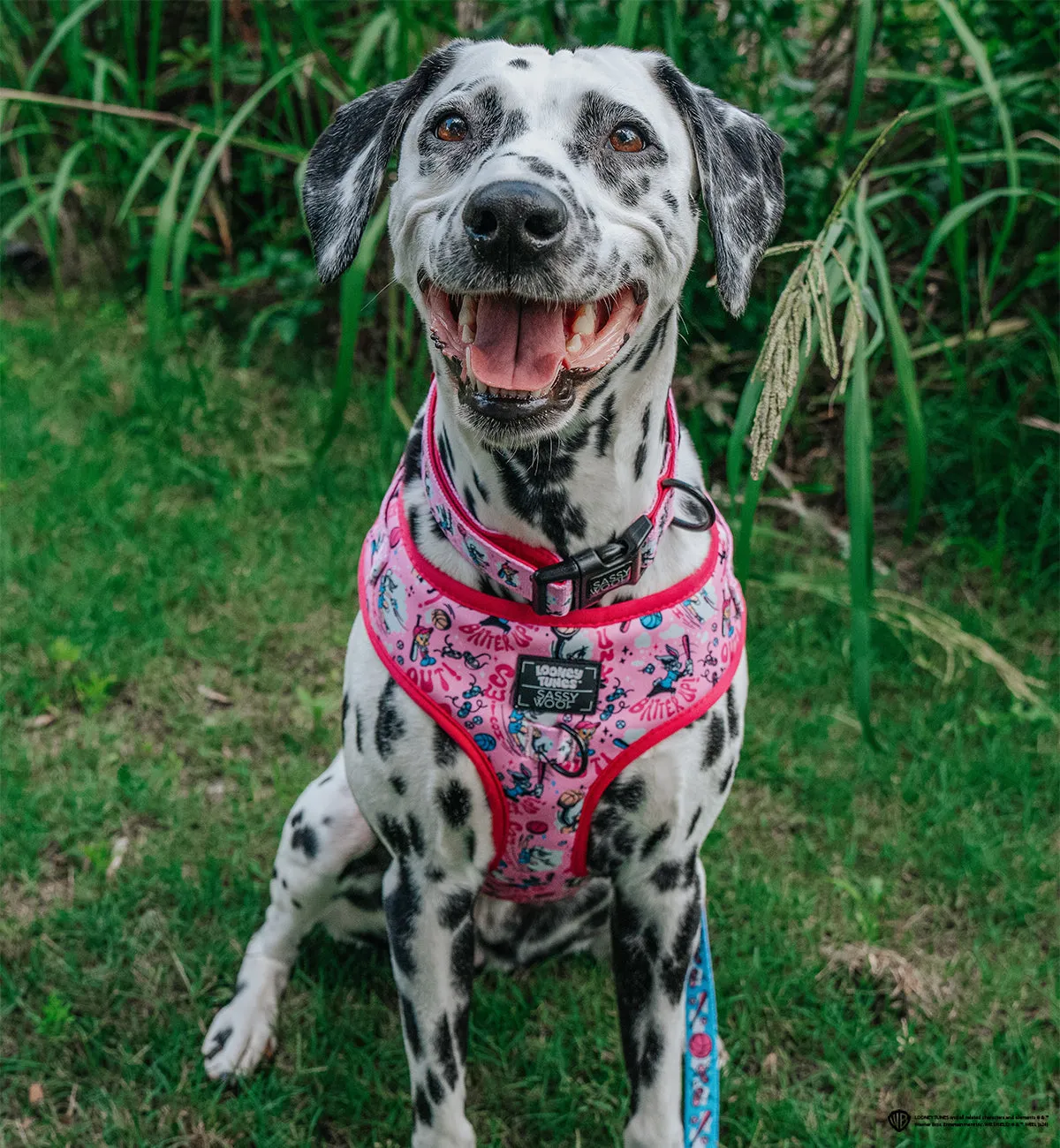 Dog Adjustable Harness - Looney Tunes™ Pink