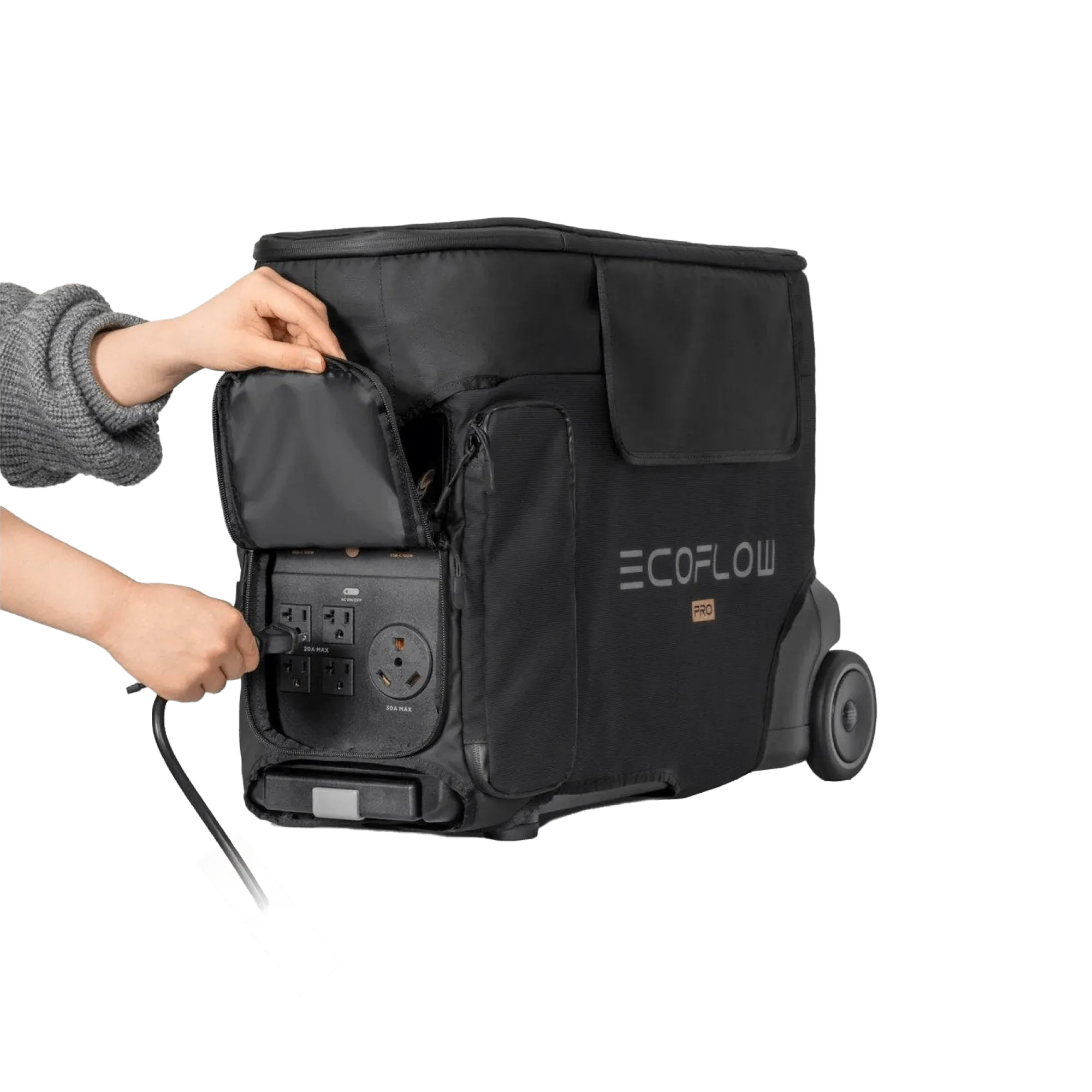 EcoFlow DELTA Pro Bag