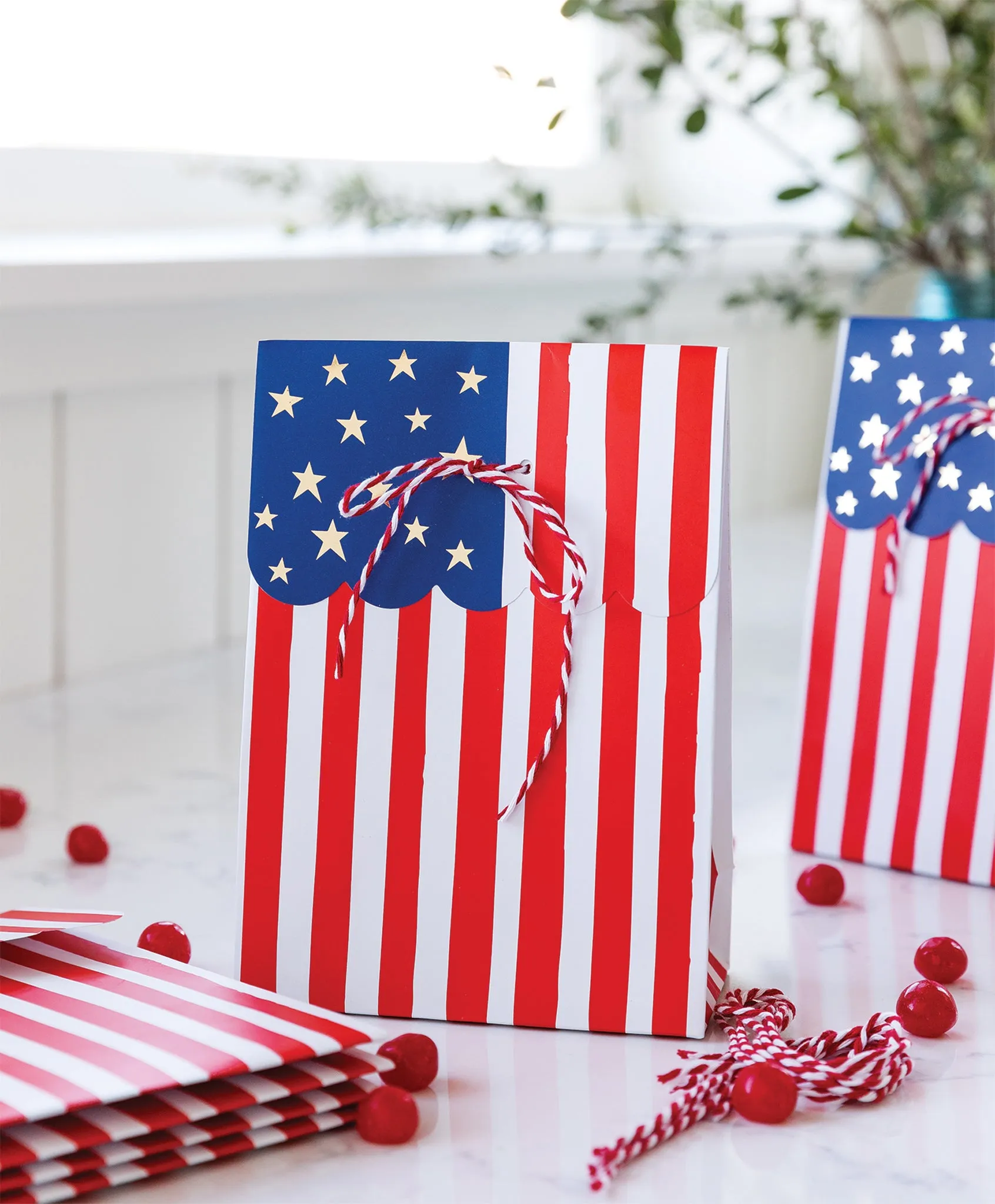 PLFB87 -  Flag Treat Bags